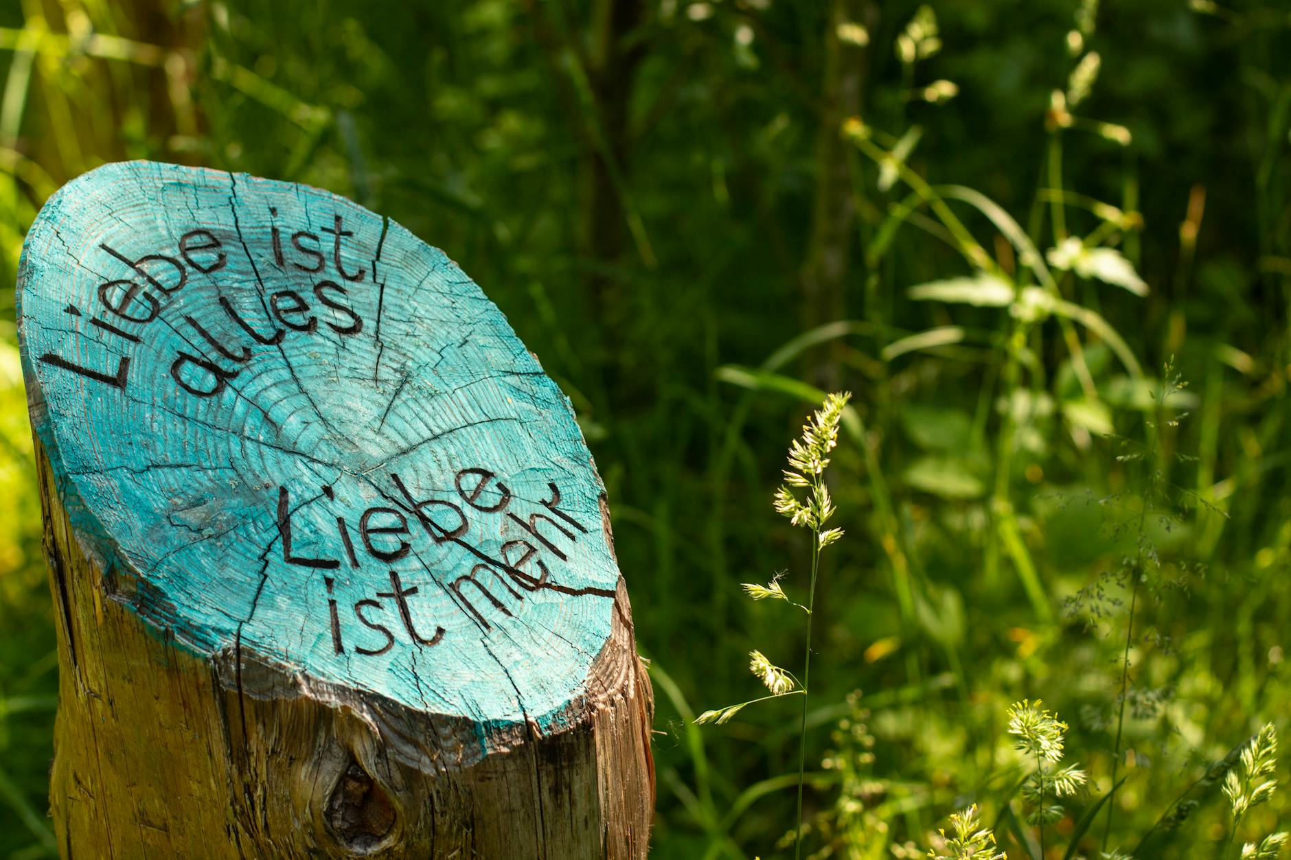 tree stump with love inscription in german forest
